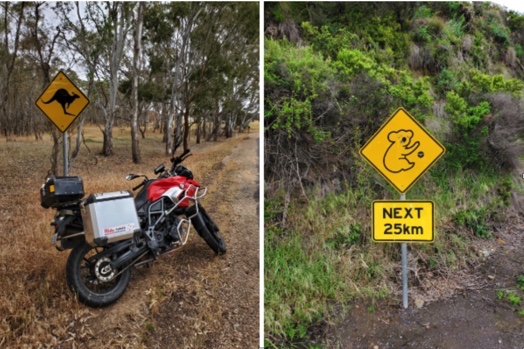 Solo Bike Ride From Sydney to Melbourne